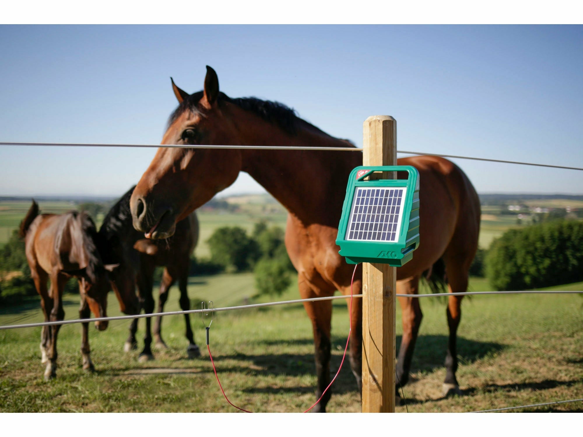 AKO Sun Power S 250 Weidezaungerät
