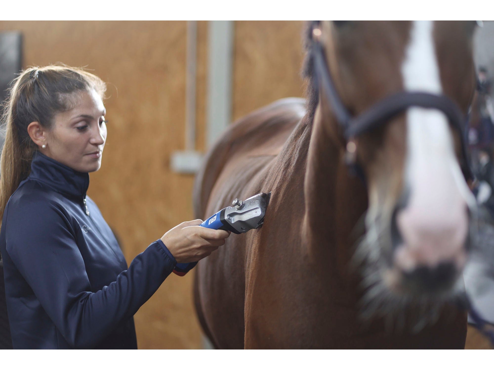 Aesculap cordless clipper Bonum for horses