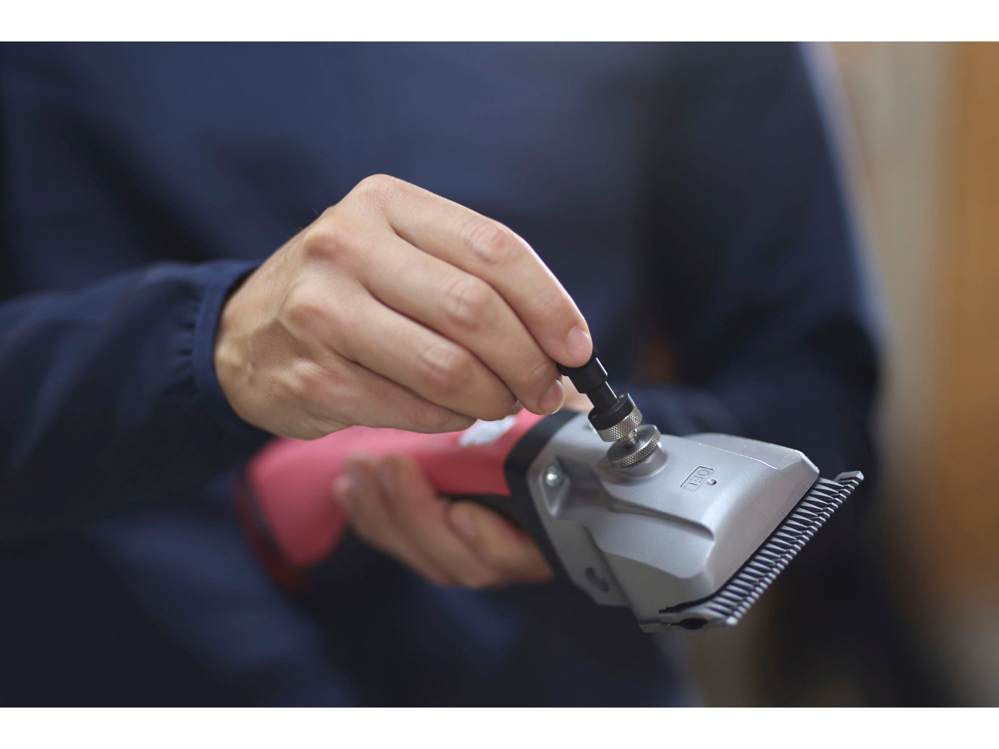 Aesculap cordless clipper Bonum for horses