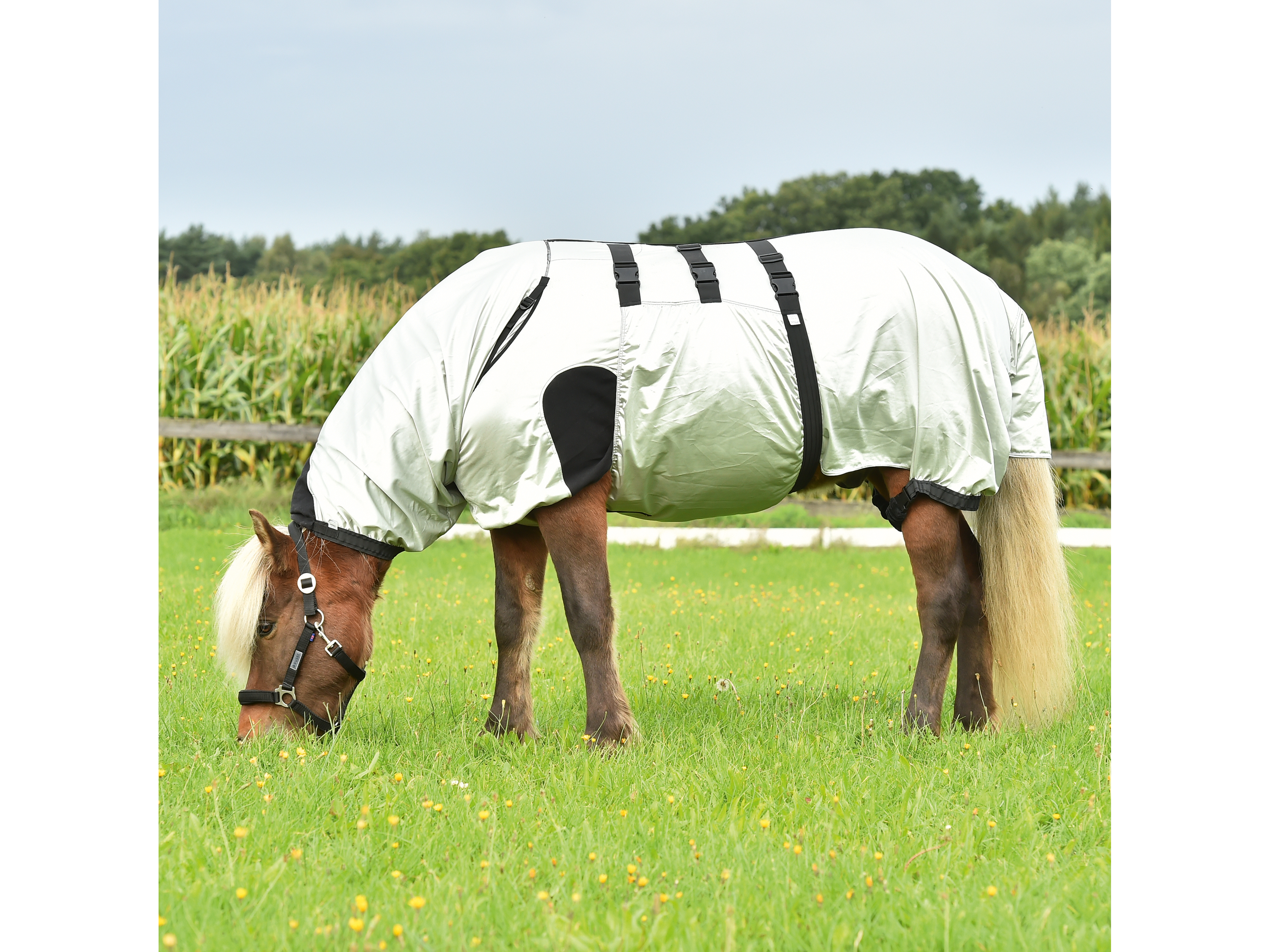 Couverture contre l'eczéma BUSSE Forte