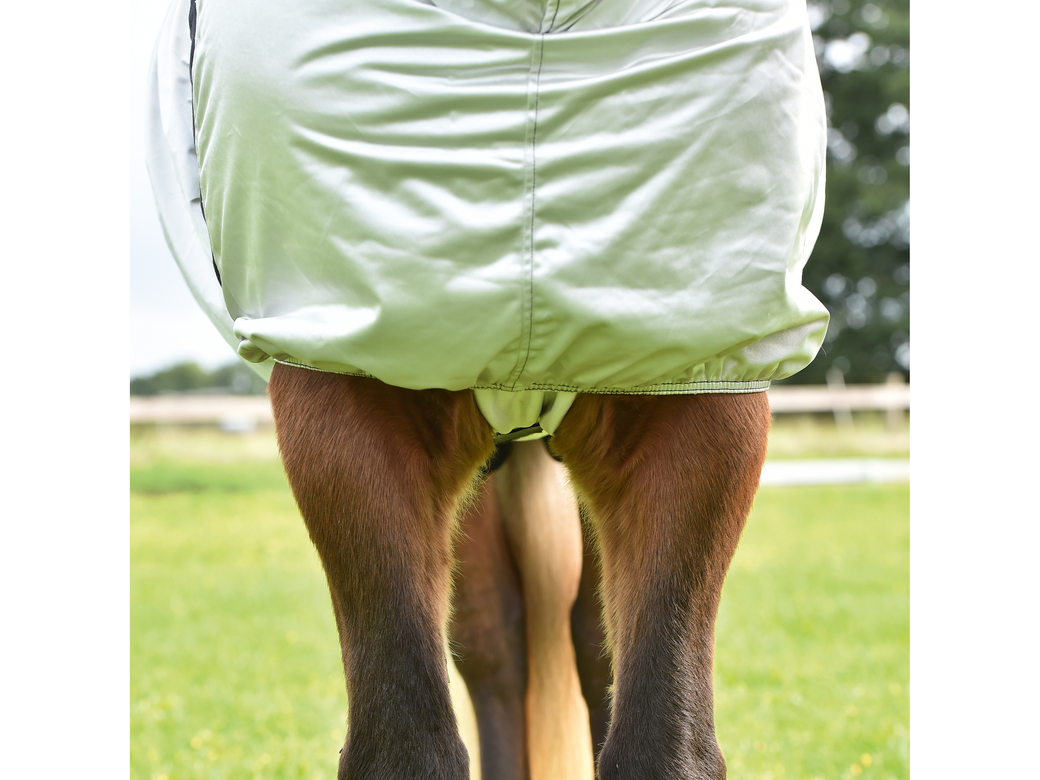 BUSSE Ekzemdecke Strong