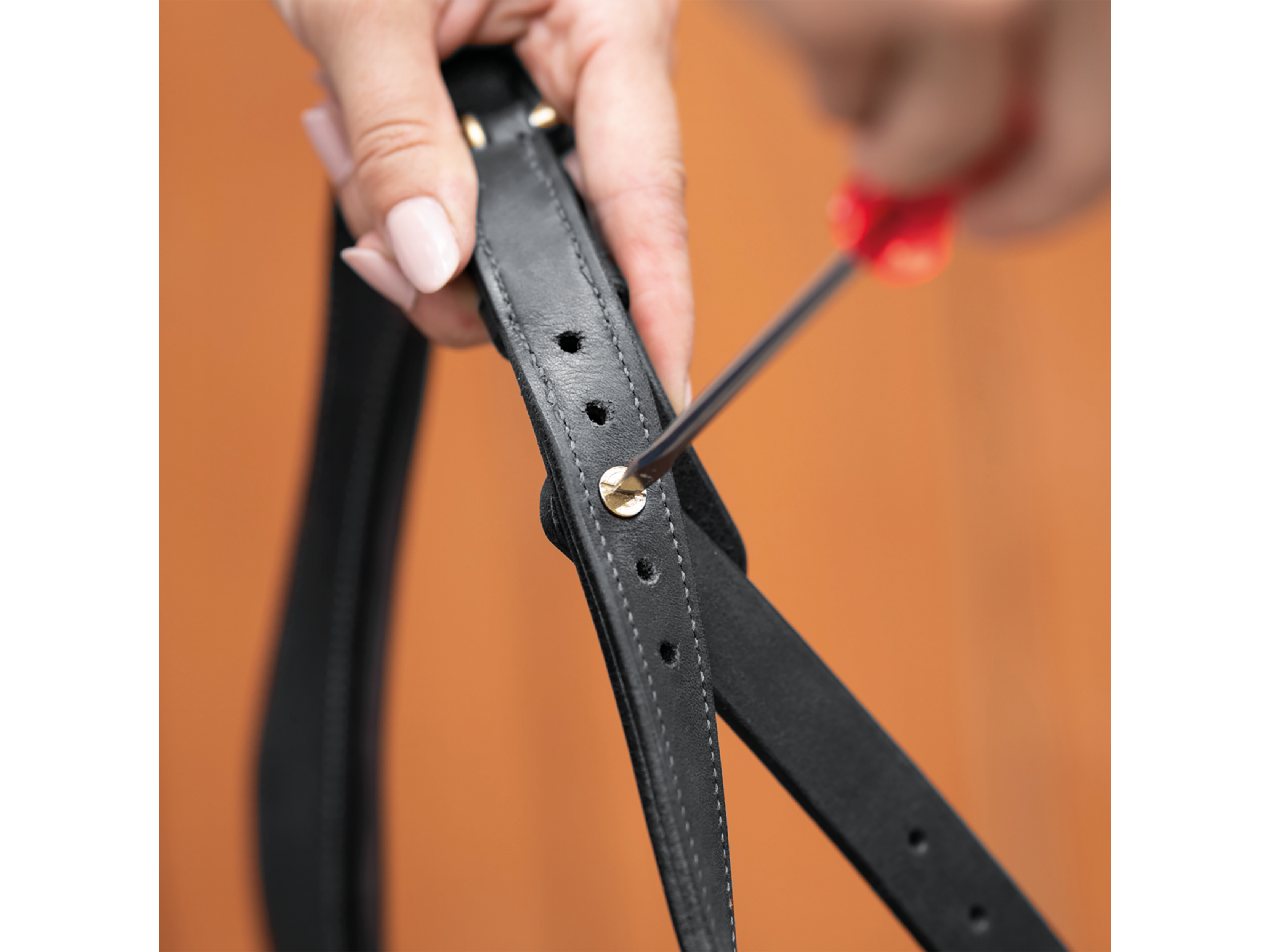 BUSSE Caveçon Anatomix