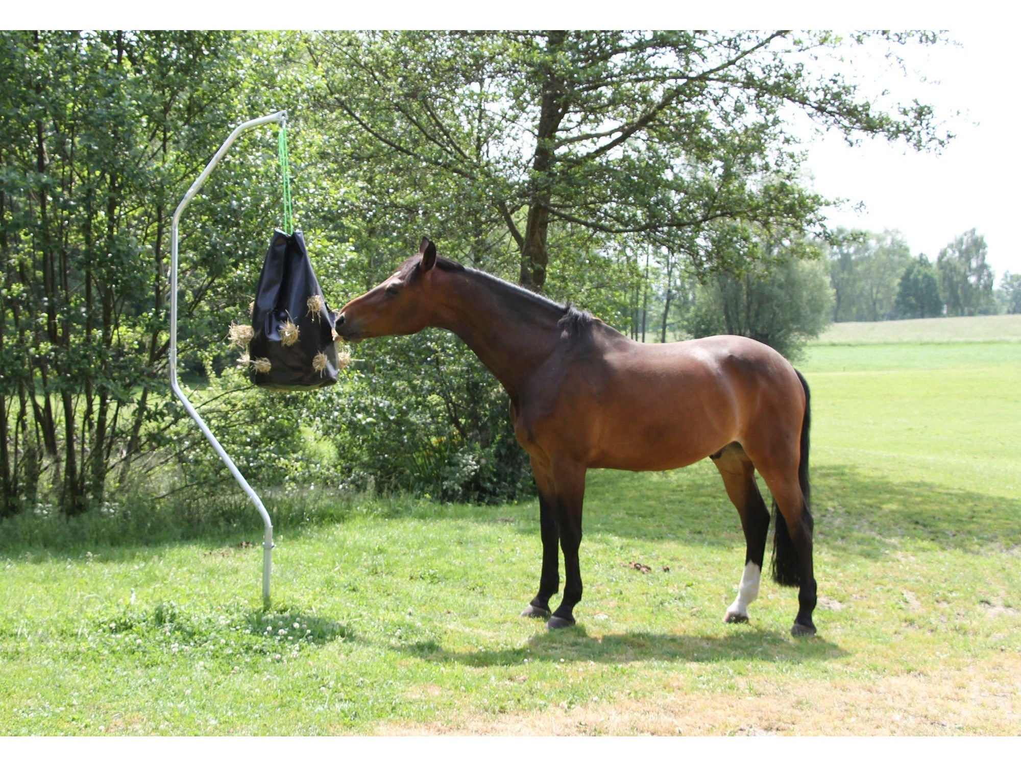 Support de terrain pour chevaux islandais pour filets d'alimentation