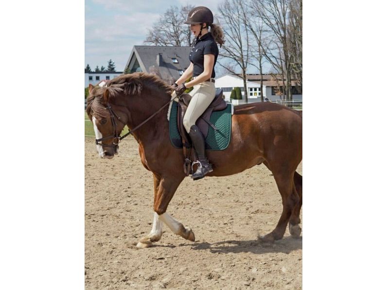 Angel - tapis de selle en cuir d'agneau