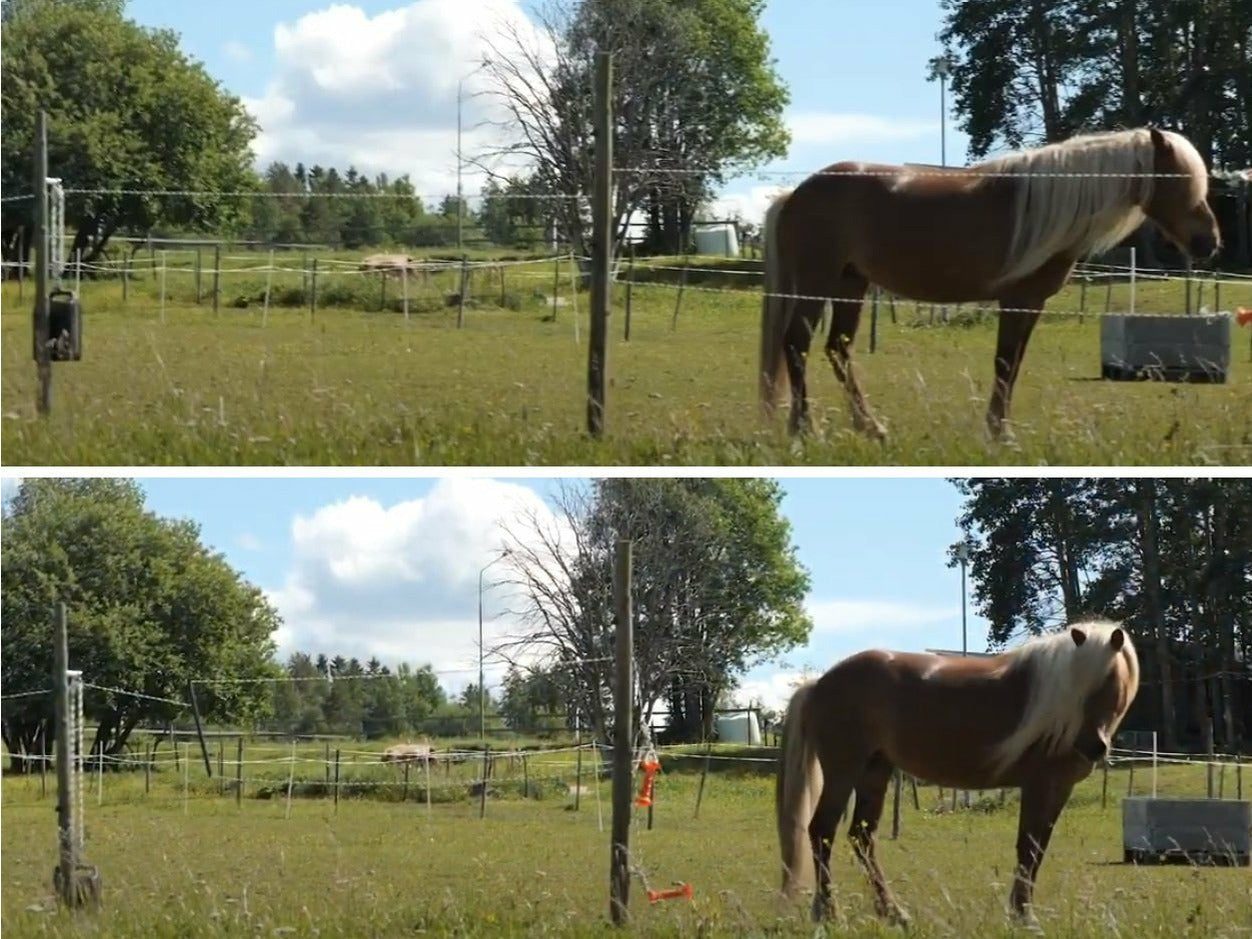 Das doppelreihige Elektroseil des Modells G-112 ermöglicht einen Tordurchgang von bis zu 3,3 Metern in der Breite und 40 cm Abstand zwischen den beiden Elektroseilen. Aufgrund des zweiten Elektroseils ist diese Ausführung für Pferde sämtlicher Größen geeignet. Im Unterschied zum einreihigen Modell solltest Du bedenken, dass zur Montage ein dritter Holzpfosten nötig ist, der die erforderliche Breite des gesamten Aufbaus verdoppelt.