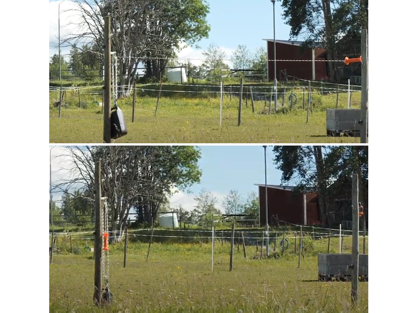 Das einreihige Elektroseil des Modells G-11 ermöglicht einen Tordurchgang von bis zu 3,3 Metern in der Breite. Je nachdem, für welche Variante der Zeitschaltuhr Du Dich entscheidest, kannst Du die automatische Öffnung des Weidetors um bis zu 12 Stunden in die Zukunft verzögern. Dazu wird die Zeitschaltuhr, wie bei einer Eieruhr, ganz einfach aufgezogen, auf die gewünschte Öffnungszeit eingestellt und der Torgriff eingehängt – das war's!