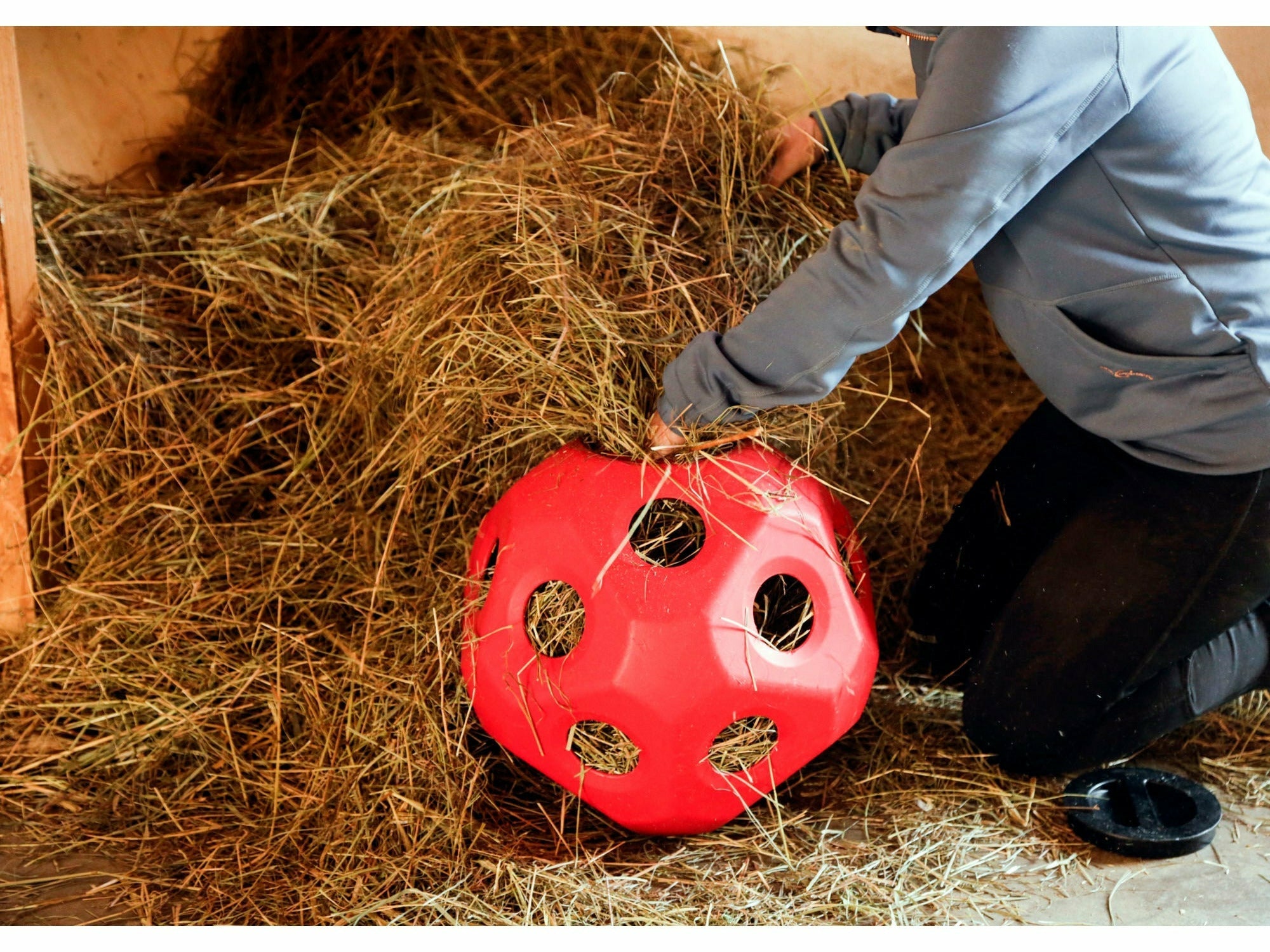 KERBL Futterspielball HeuBoy