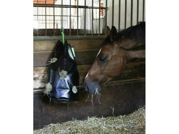 Icelandic Horse HayBag