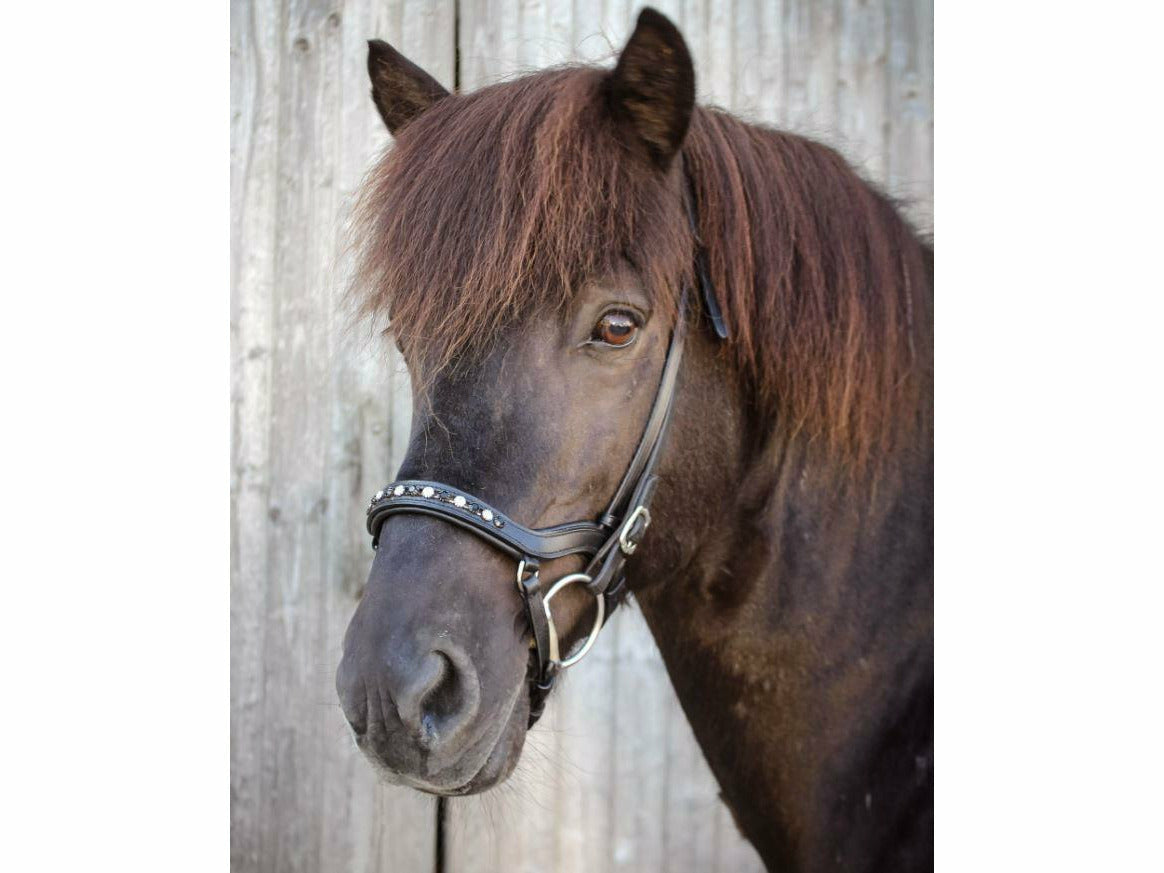 Der anatomische Nasenriemen Black&White beeindruckt durch große schwarze und weiße Schmucksteine, welche im Wechsel angeordnet sind
