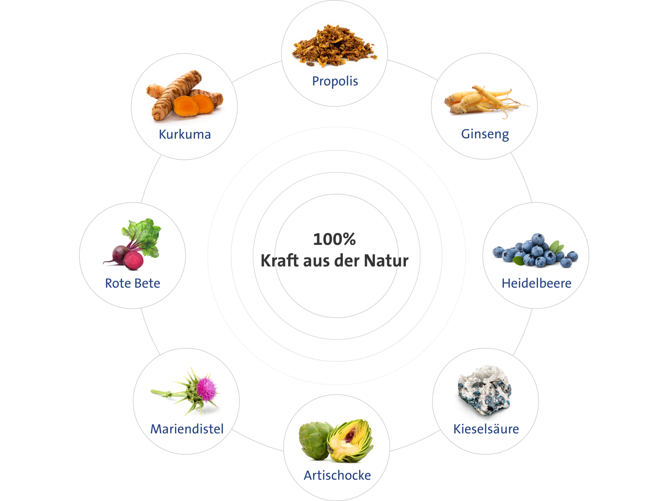 Gladiator Plus Cheval 1 litre