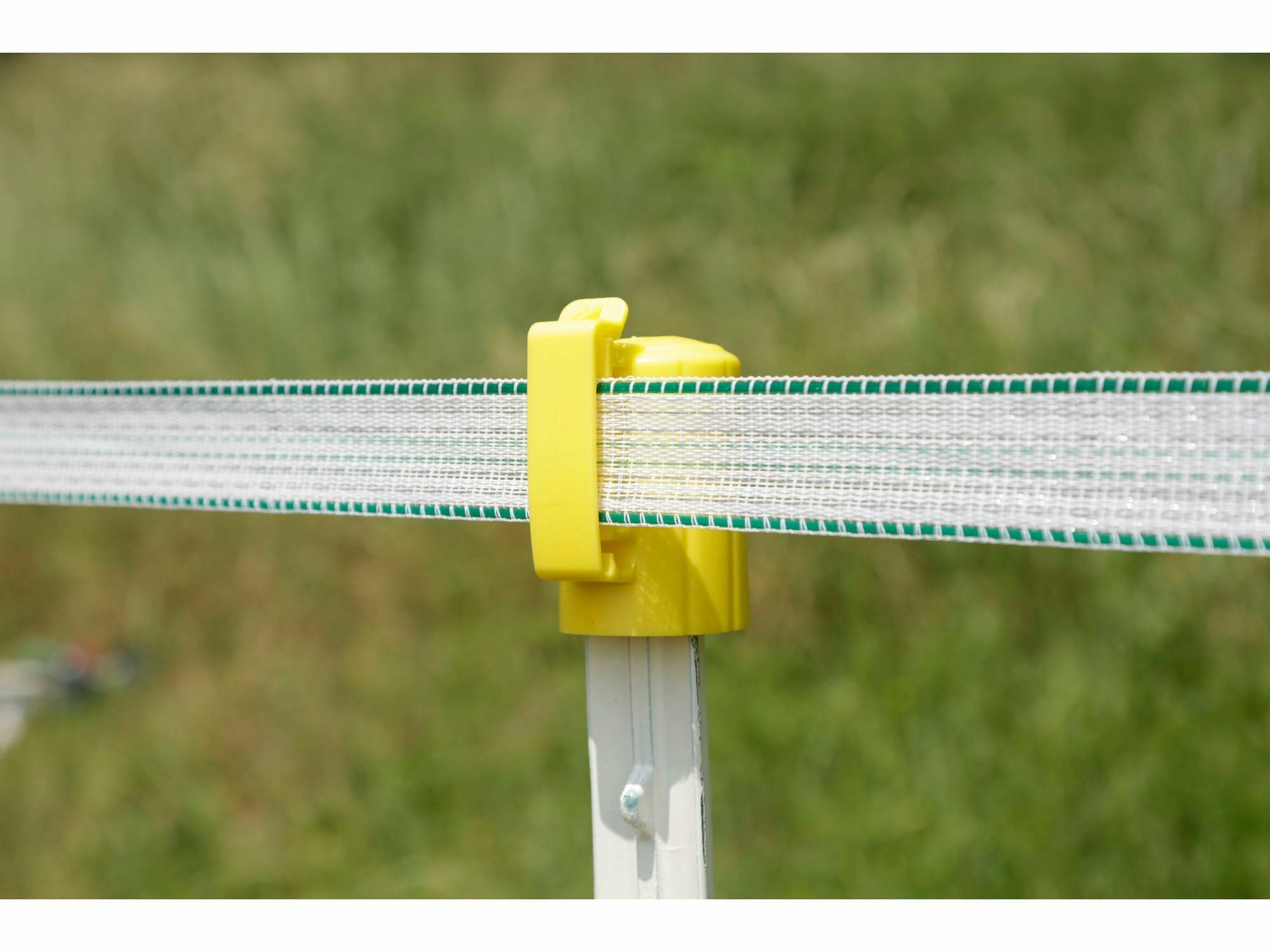 T-Post Kopfisolator 10 Stück