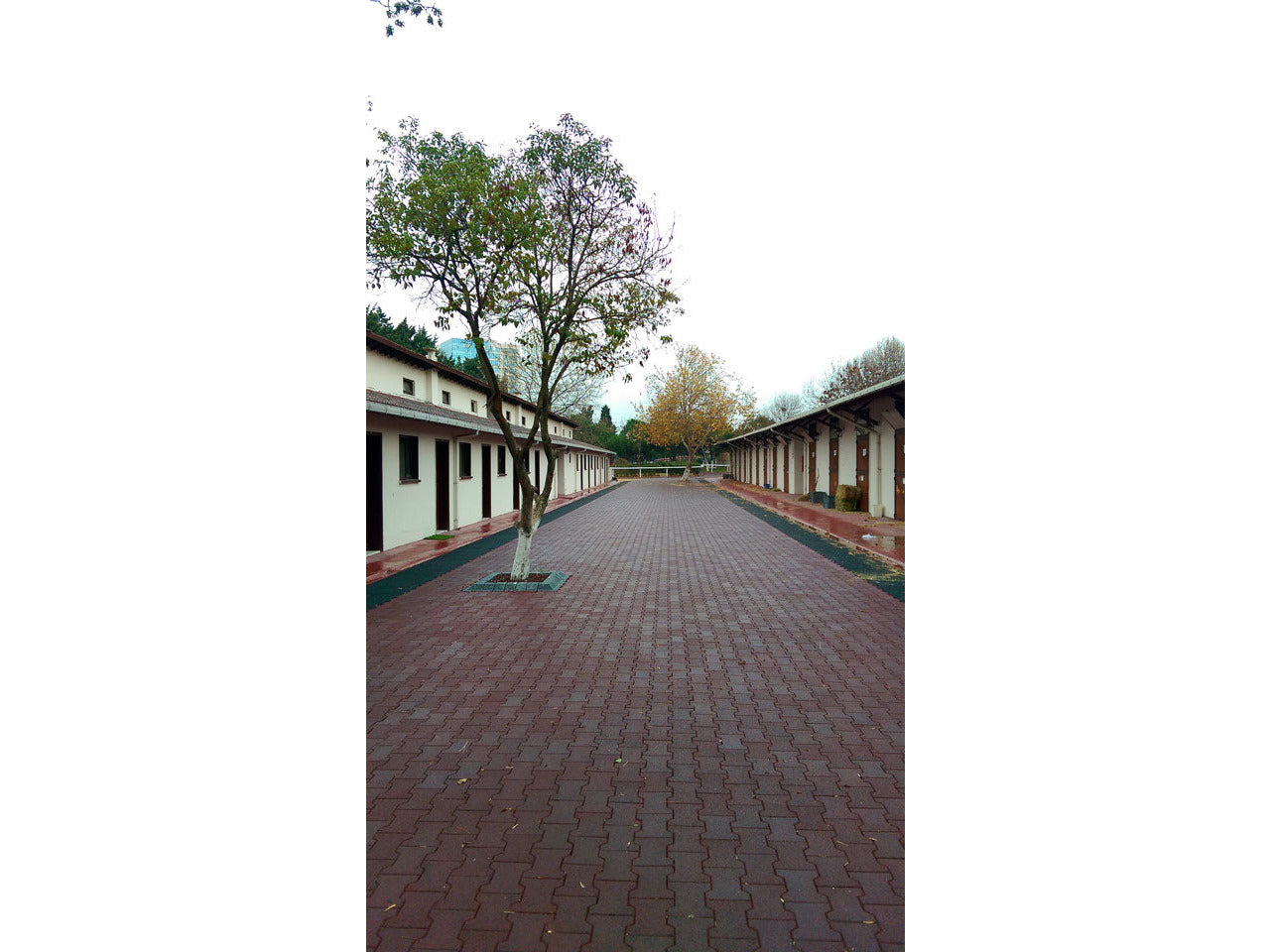 Kraiburg Komfortex® Elastikpflaster 200 x 165 x 43 mm