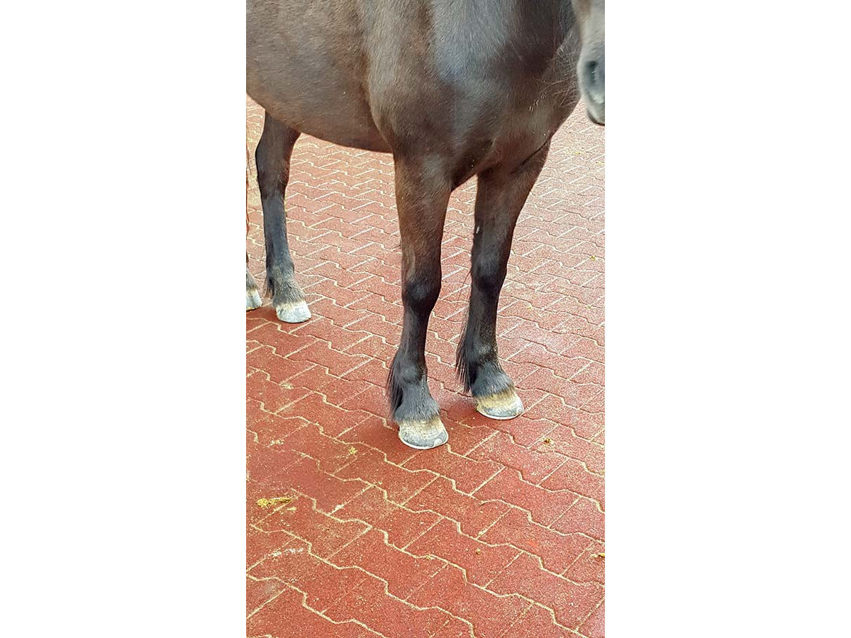 Kraiburg Komfortex® Elastikpflaster 200 x 165 x 43 mm