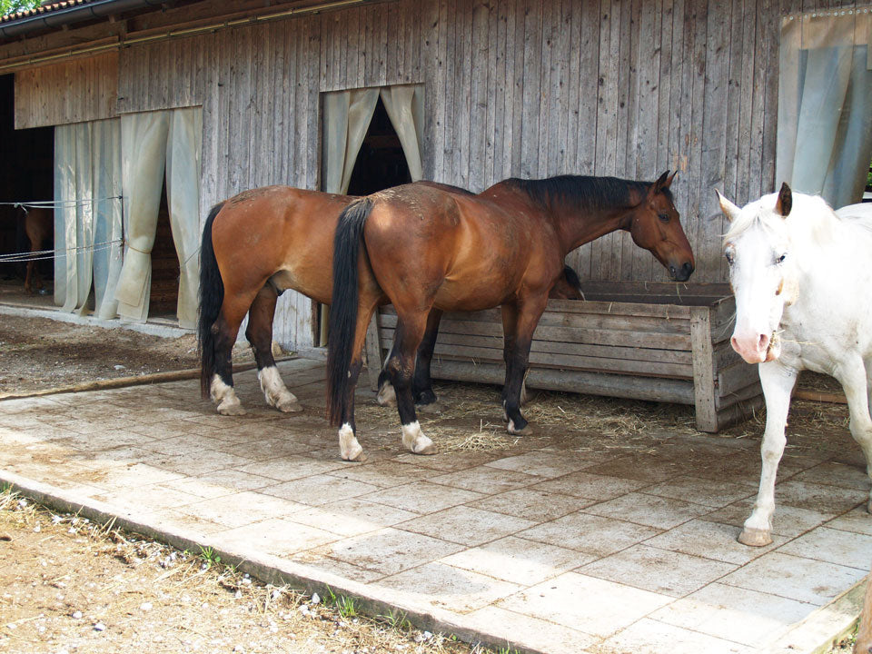 Kraiburg Komfortex® Elastikplatte 500 x 500 x 30 mm