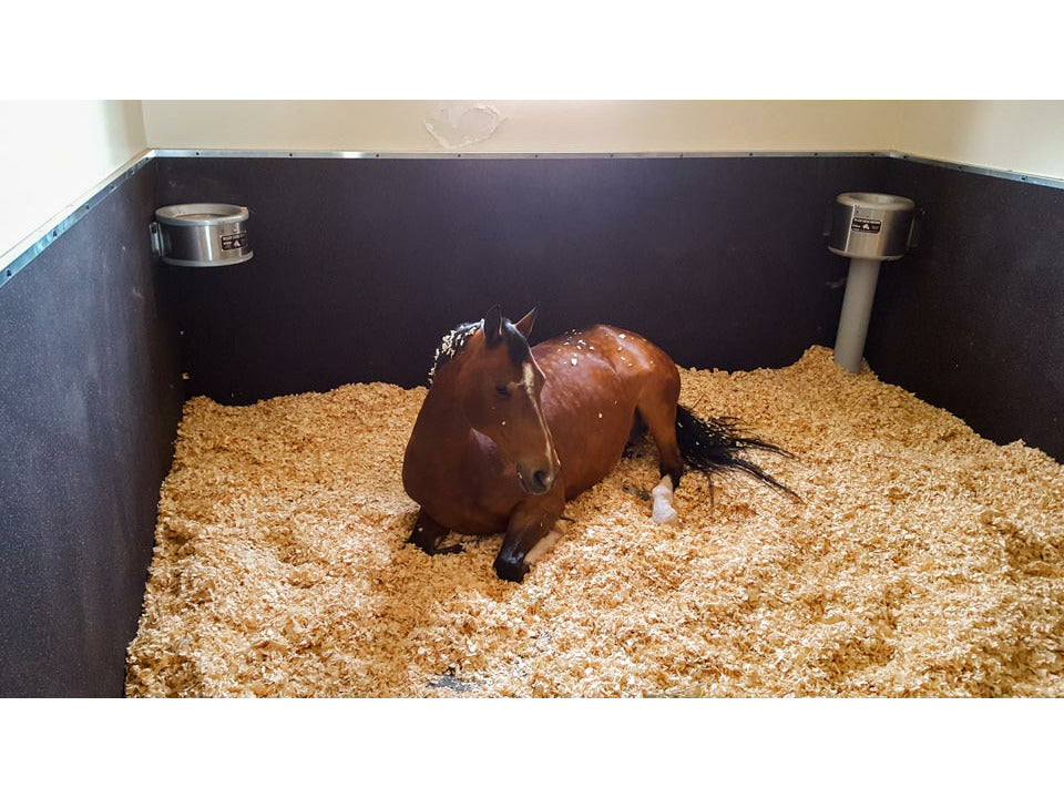 Protection de protection de marche murale Kraiburg Komfortex®