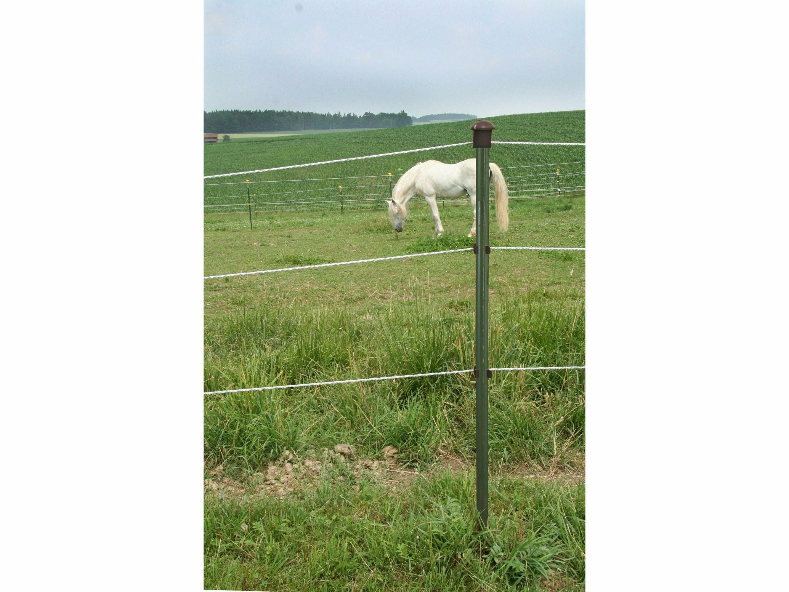 5x T-Post metal post