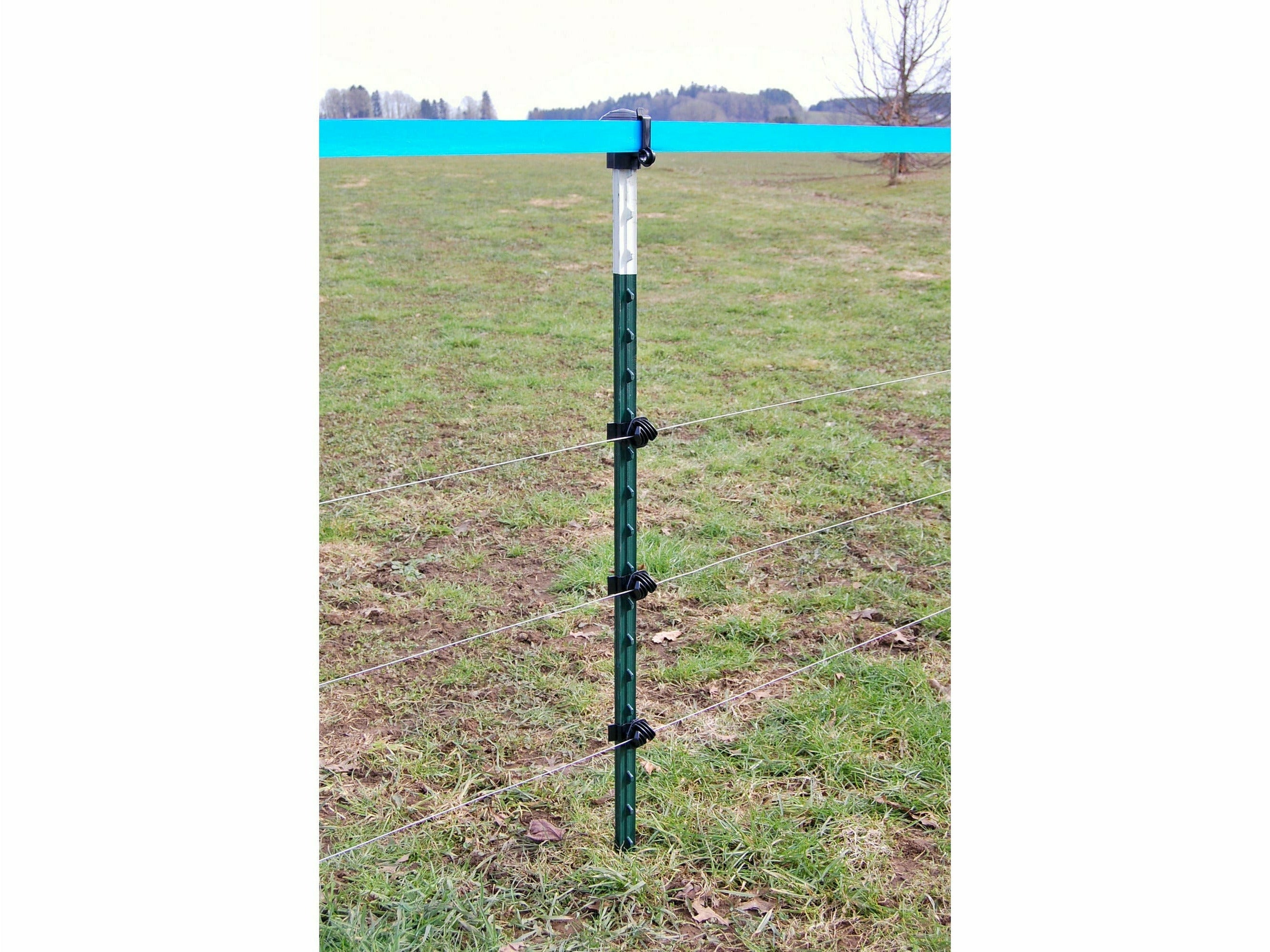 5x T-Post metal post