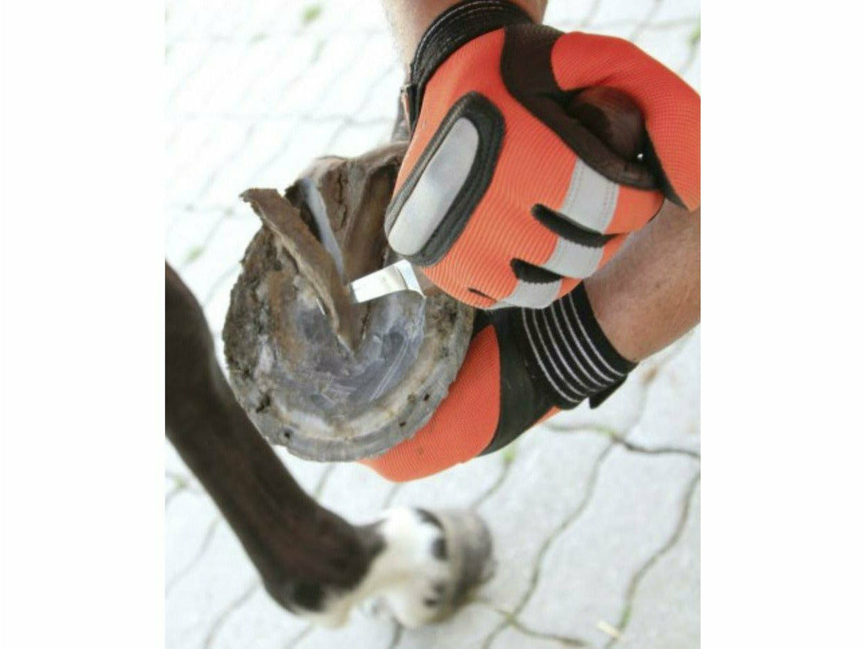 Icelandic Horse Huf- und Klauenmesser