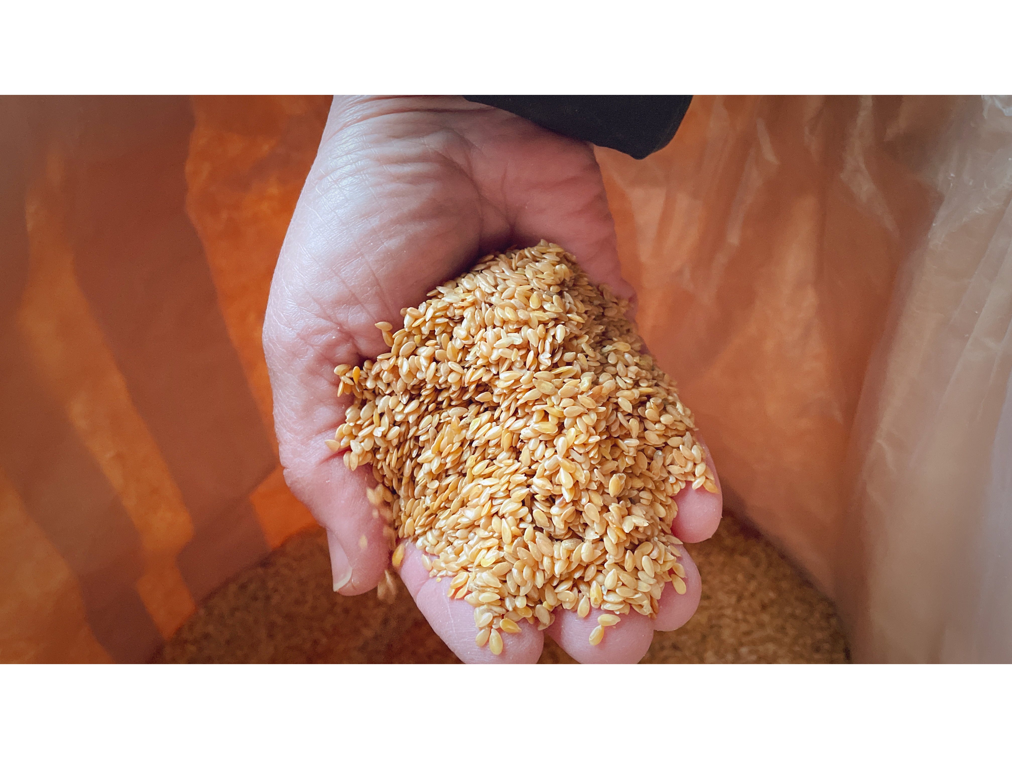 Berger Leingold 25 kg