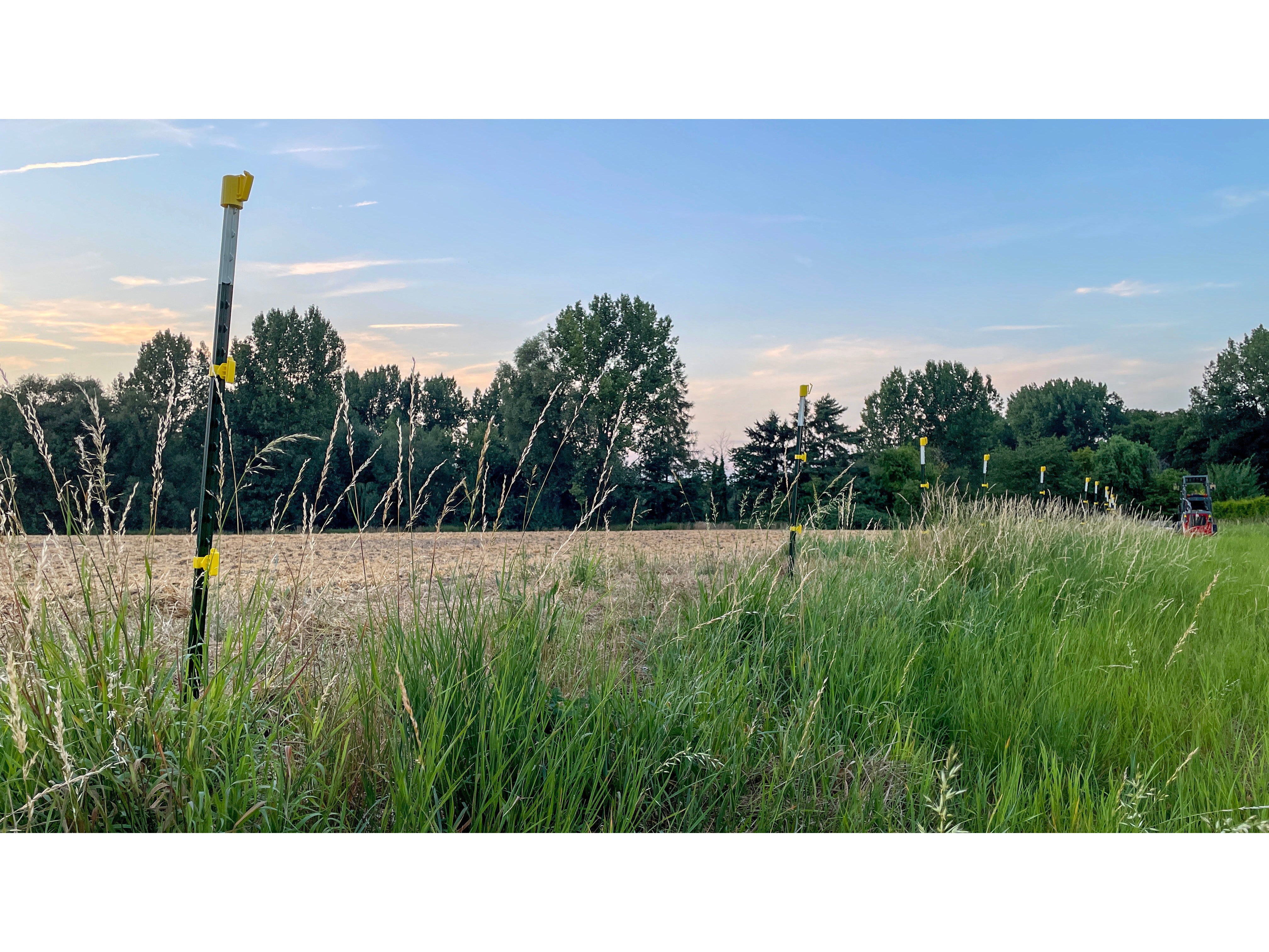 5x T-Post metal post