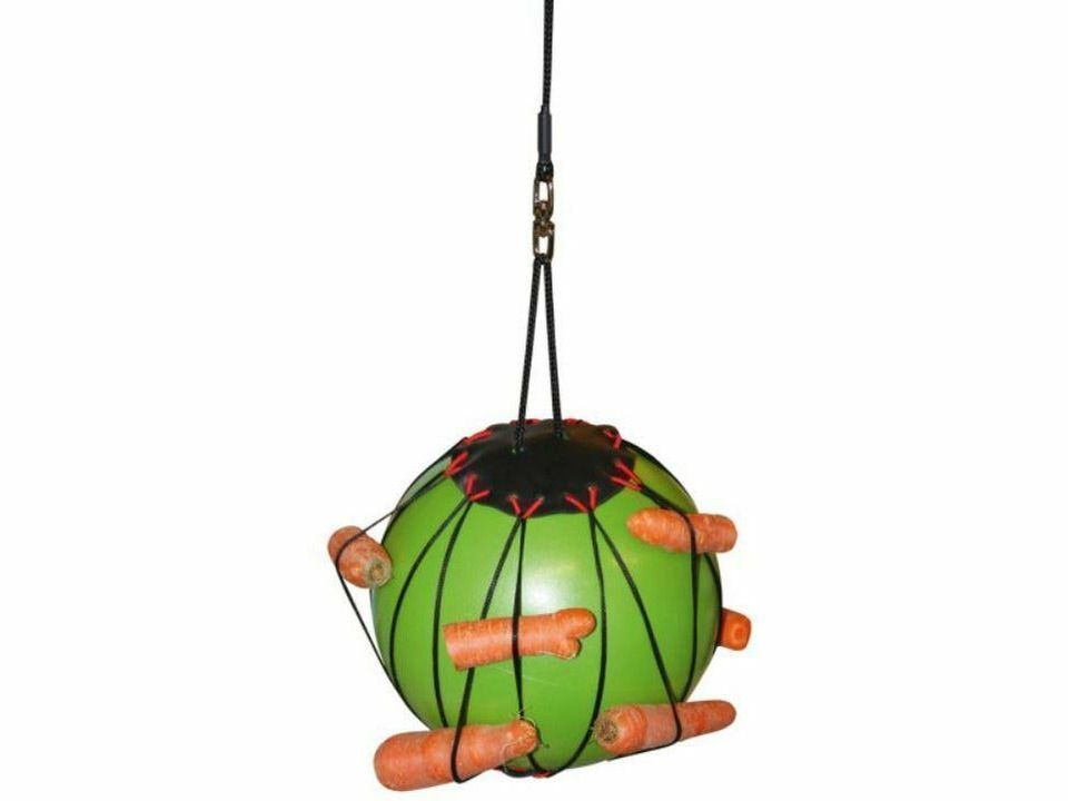 Ballon thérapeutique équestre islandais pour chevaux