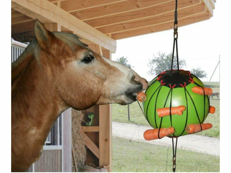 Ballon thérapeutique équestre islandais pour chevaux