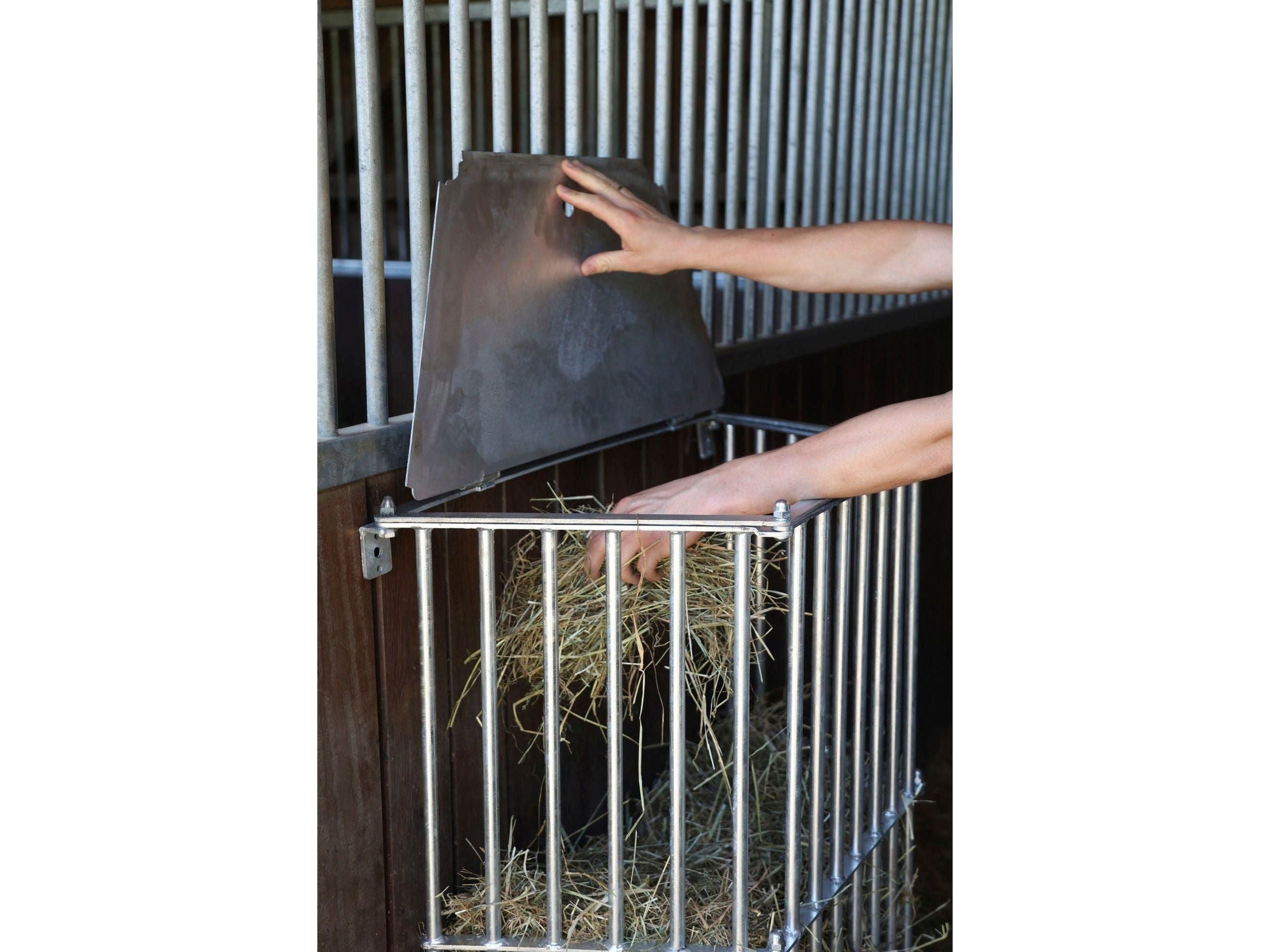 Support mural pour chevaux islandais SlowFeed Plus