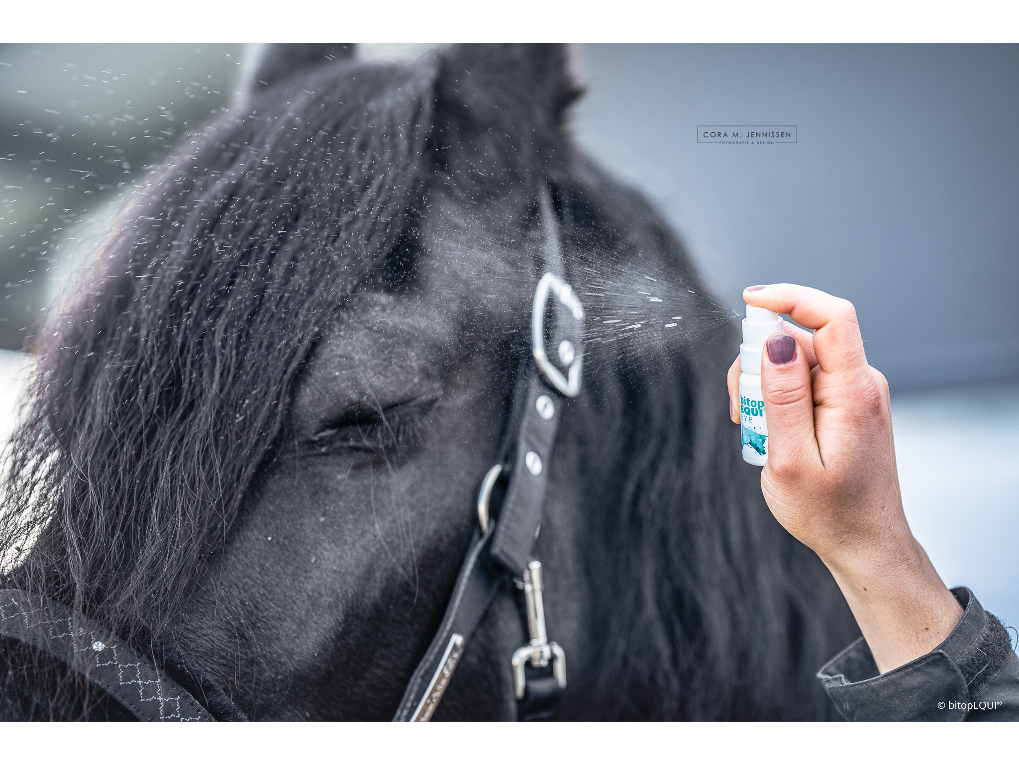 bitopEQUI® EYE Spray