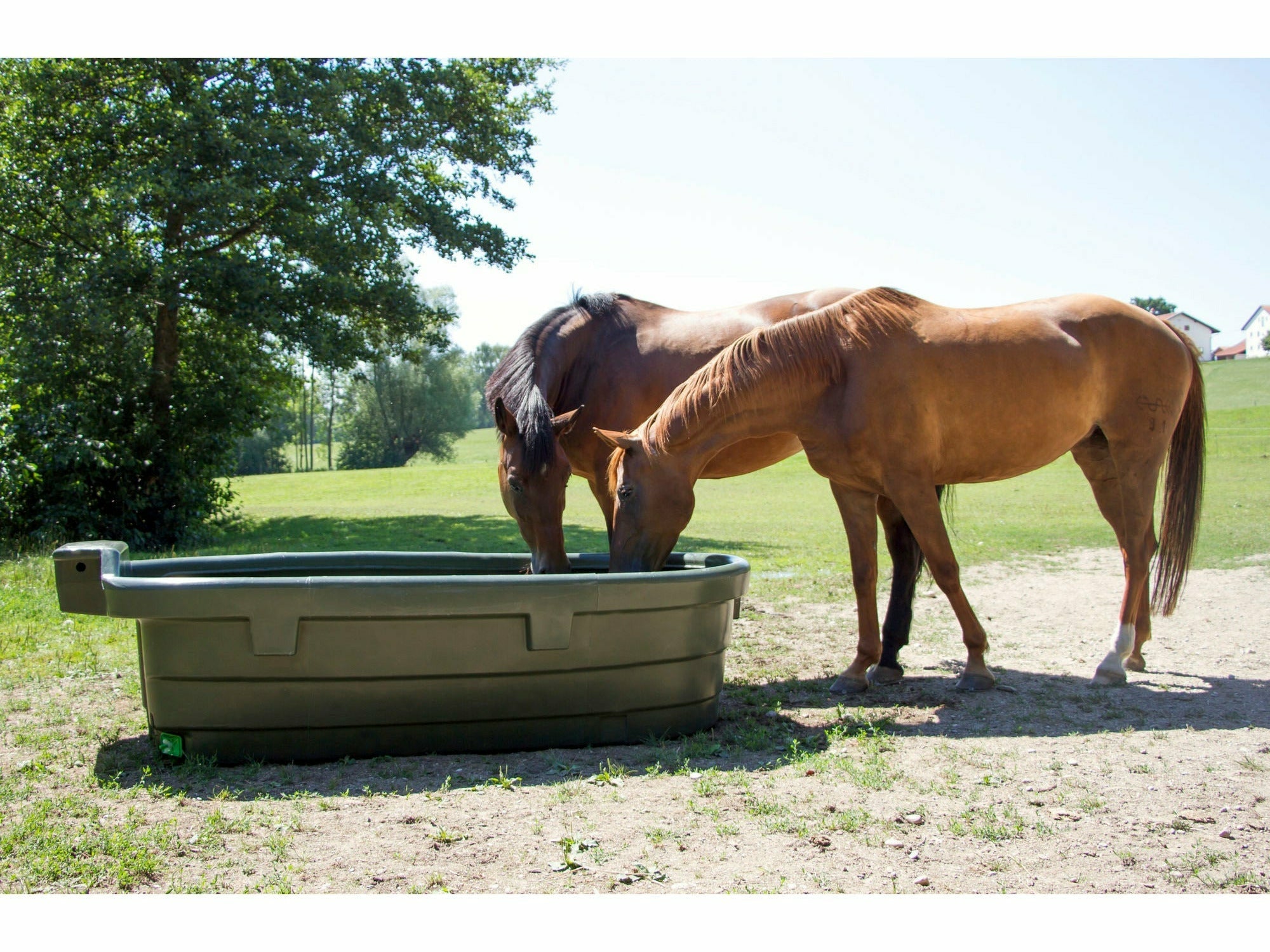 KERBL pasture drinker