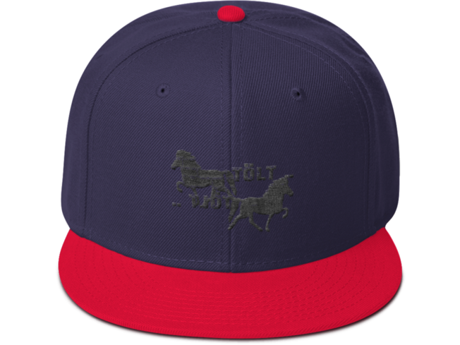 Icelandic Horse Islandpferde Snapback Cap