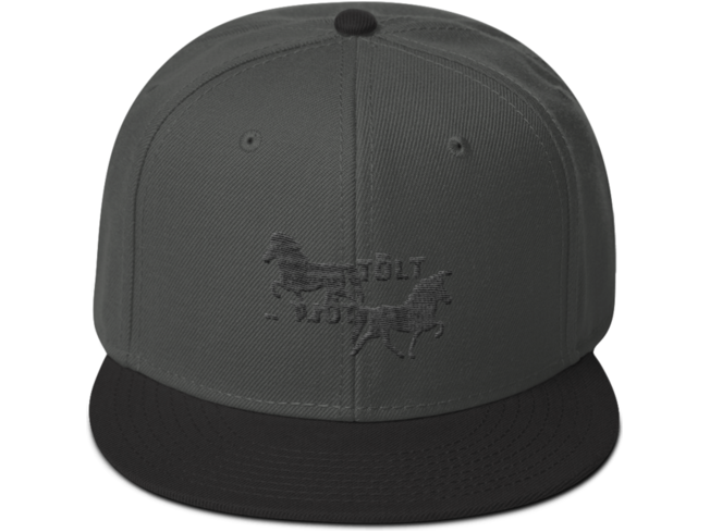 Icelandic Horse Islandpferde Snapback Cap