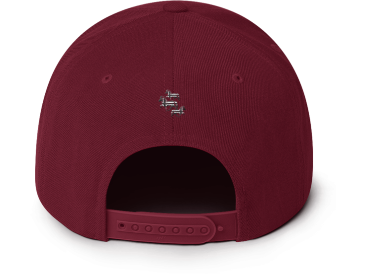 Icelandic Horse Islandpferde Snapback Cap