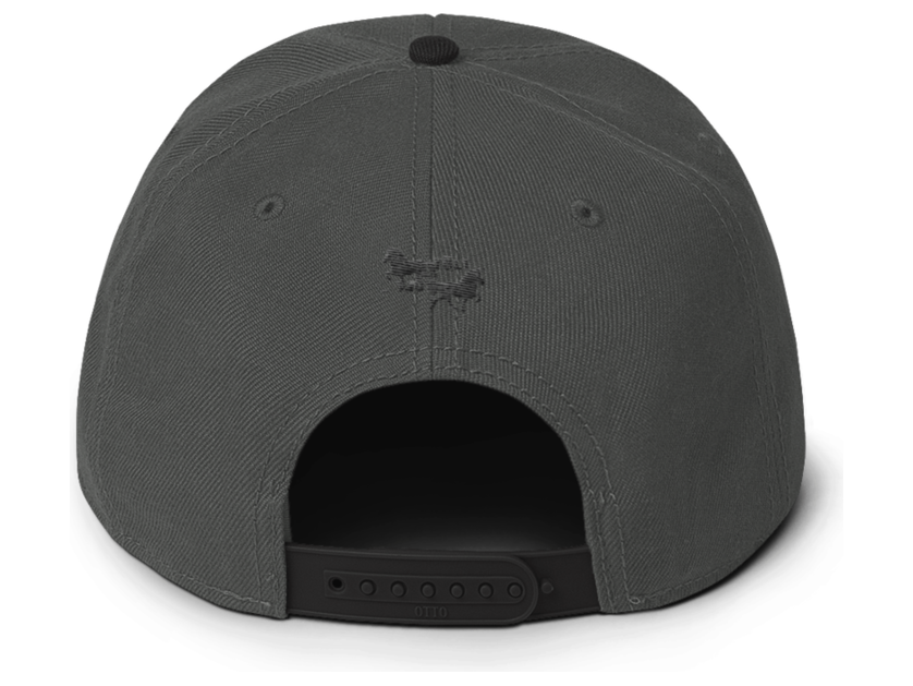 Icelandic Horse Islandpferde Snapback Cap