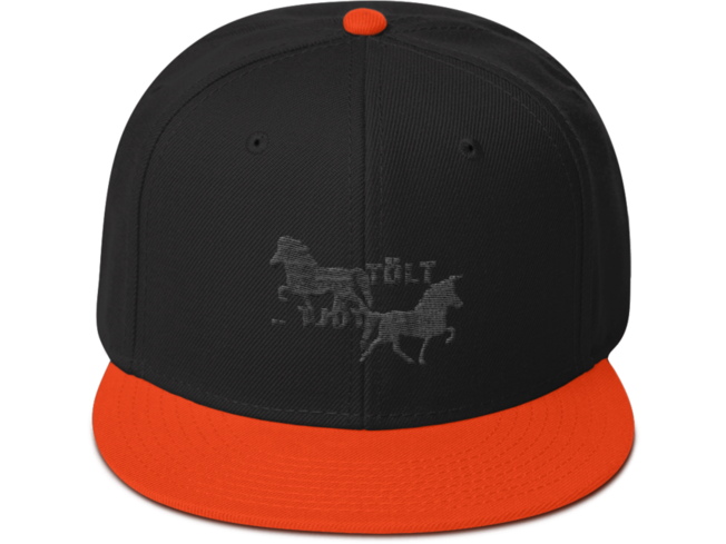 Icelandic Horse Islandpferde Snapback Cap