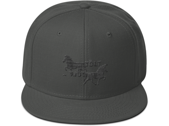 Icelandic Horse Islandpferde Snapback Cap
