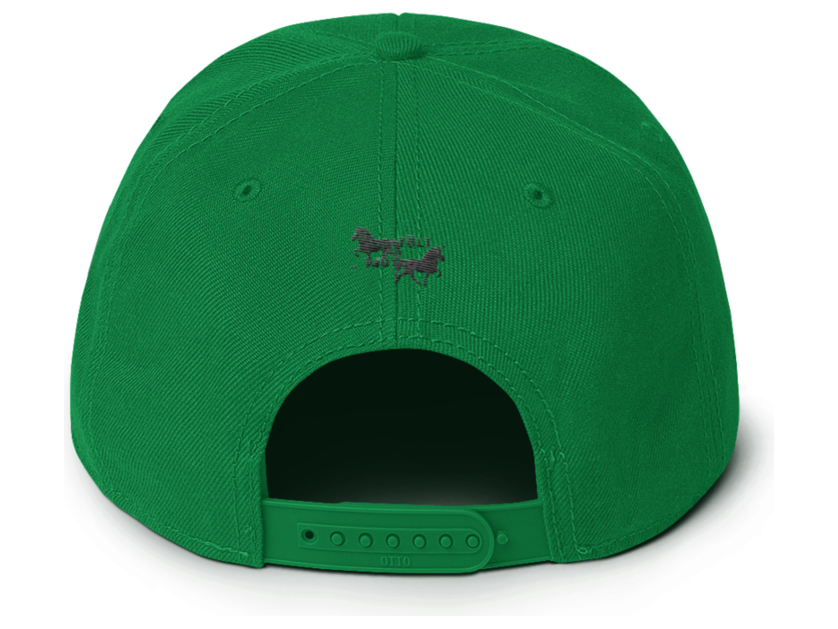 Icelandic Horse Islandpferde Snapback Cap