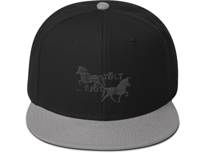 Icelandic Horse Islandpferde Snapback Cap