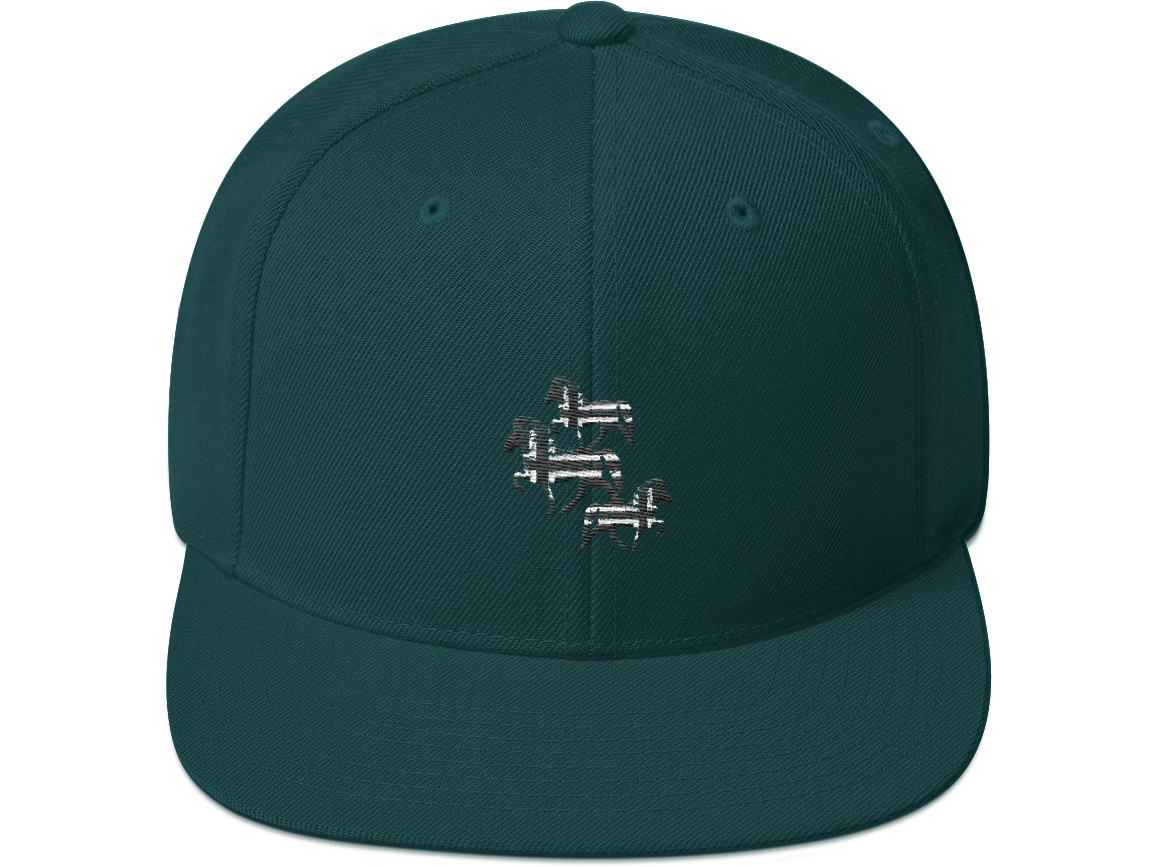 Icelandic Horse Islandpferde Snapback Cap