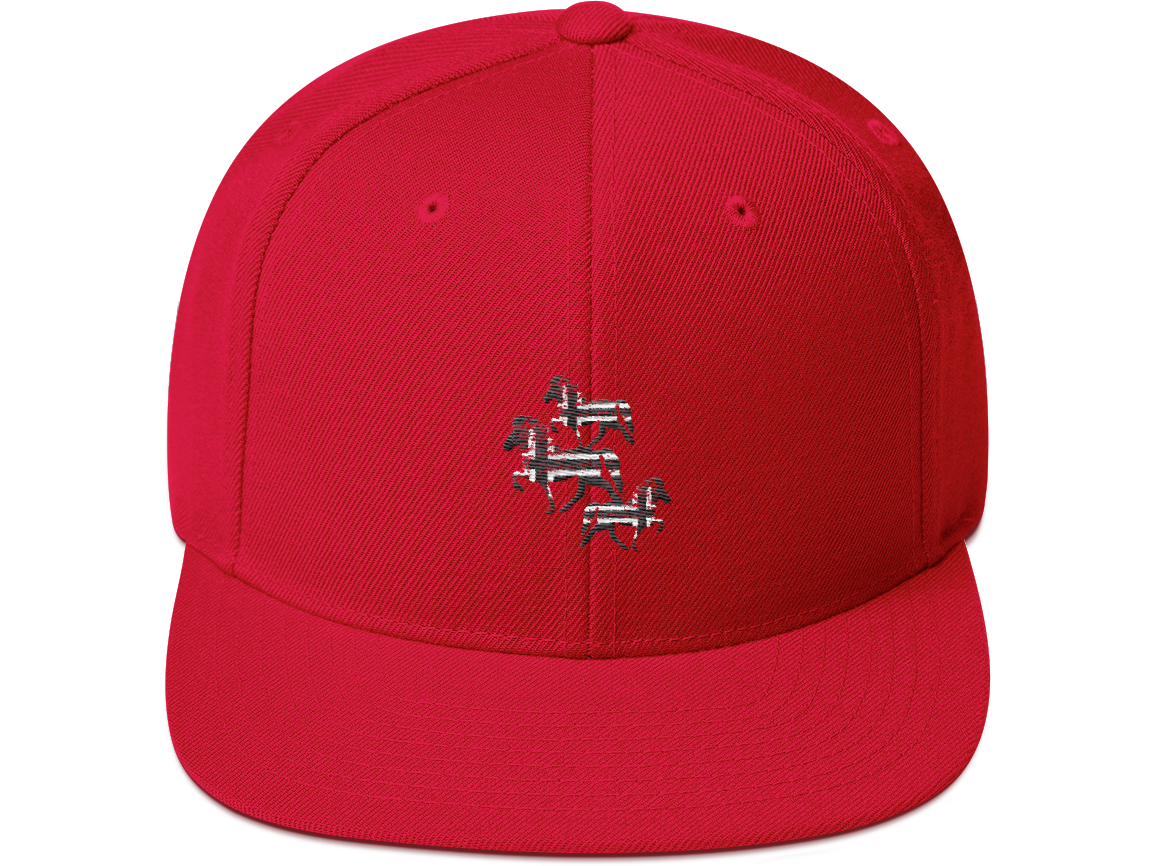 Icelandic Horse Islandpferde Snapback Cap