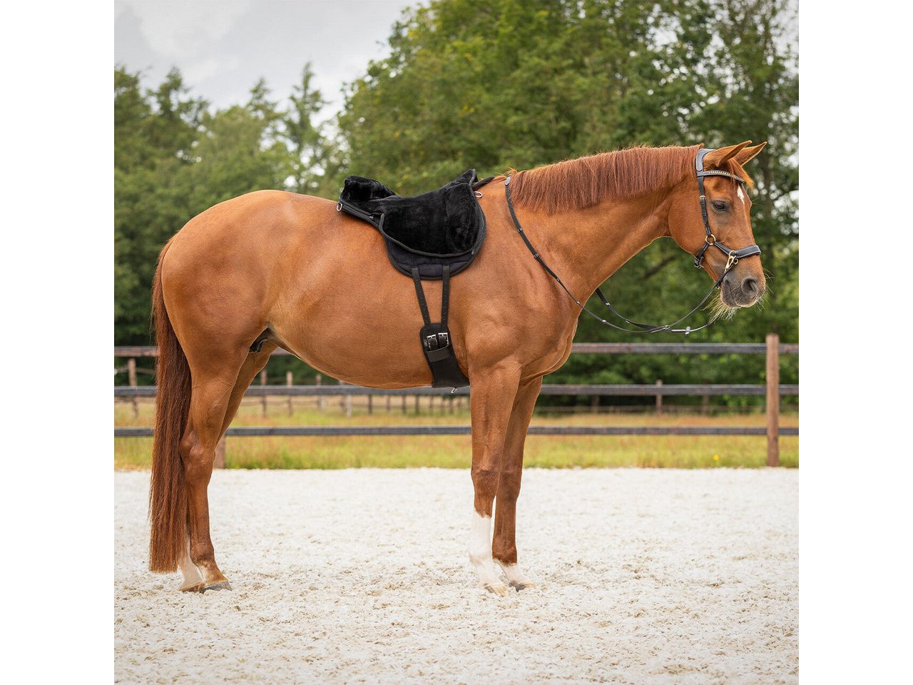 QHP Bareback Pad Kunstfellsattel Super Soft