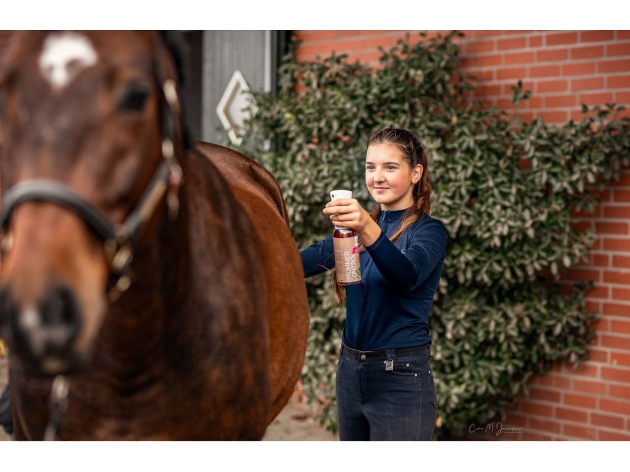 Bense &amp; Eicke Brummer Control