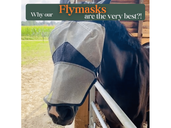 Fliegenmaske für Pferde mit guter Augenfreiheit, schützt vor Insekten am Paddock