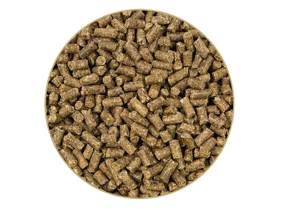 Brandon Plus Arthrogard joint combiné 3 kg