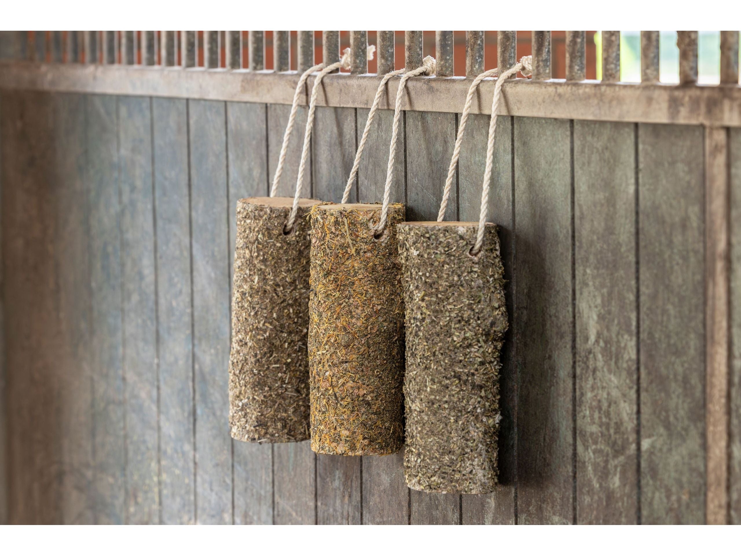 Delizia® Knabberholz für Pferde