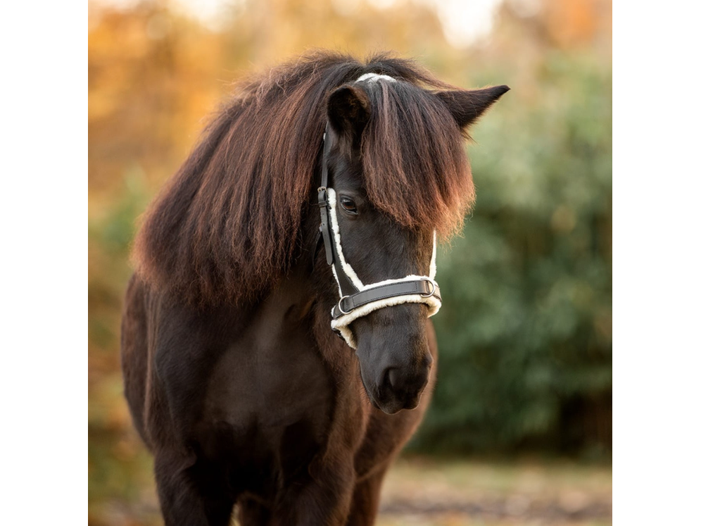 Epona Gebissloser Zaum Kappzaum mit Kunstfell