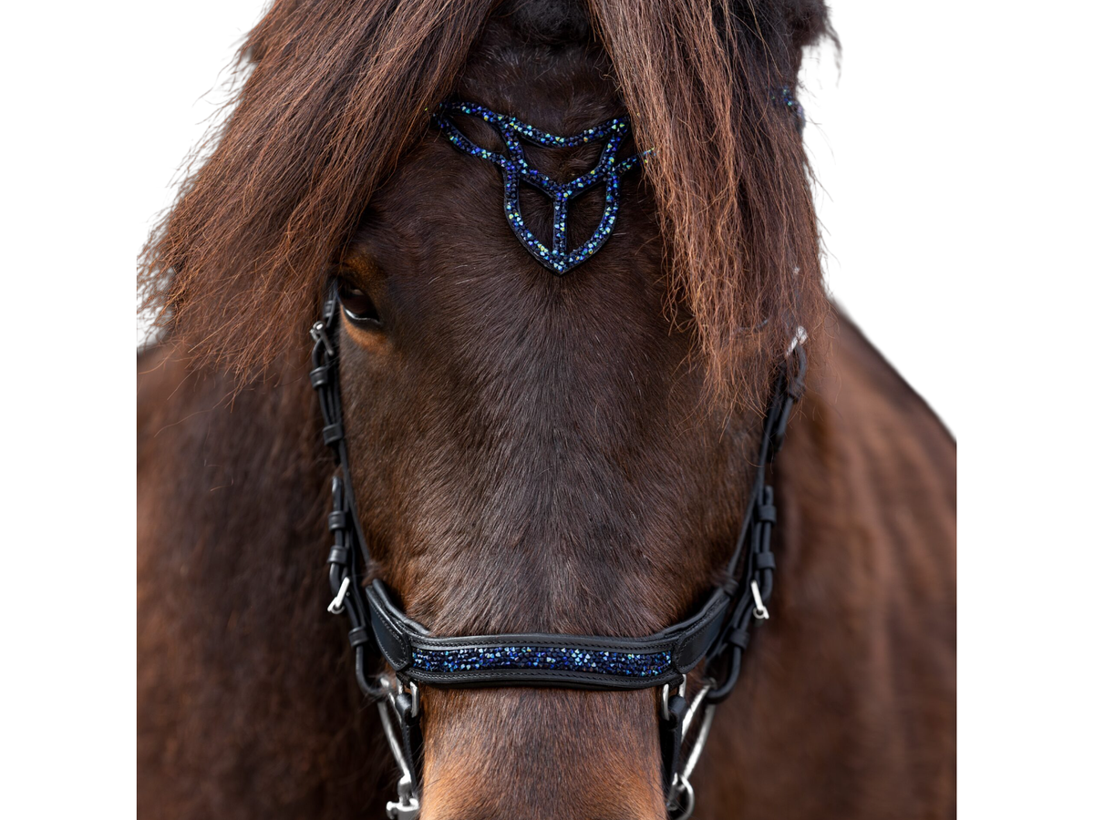 Epona Hellnar dark ocean – anatomisches Reithalfter und Stirnriemen am Islandpferd