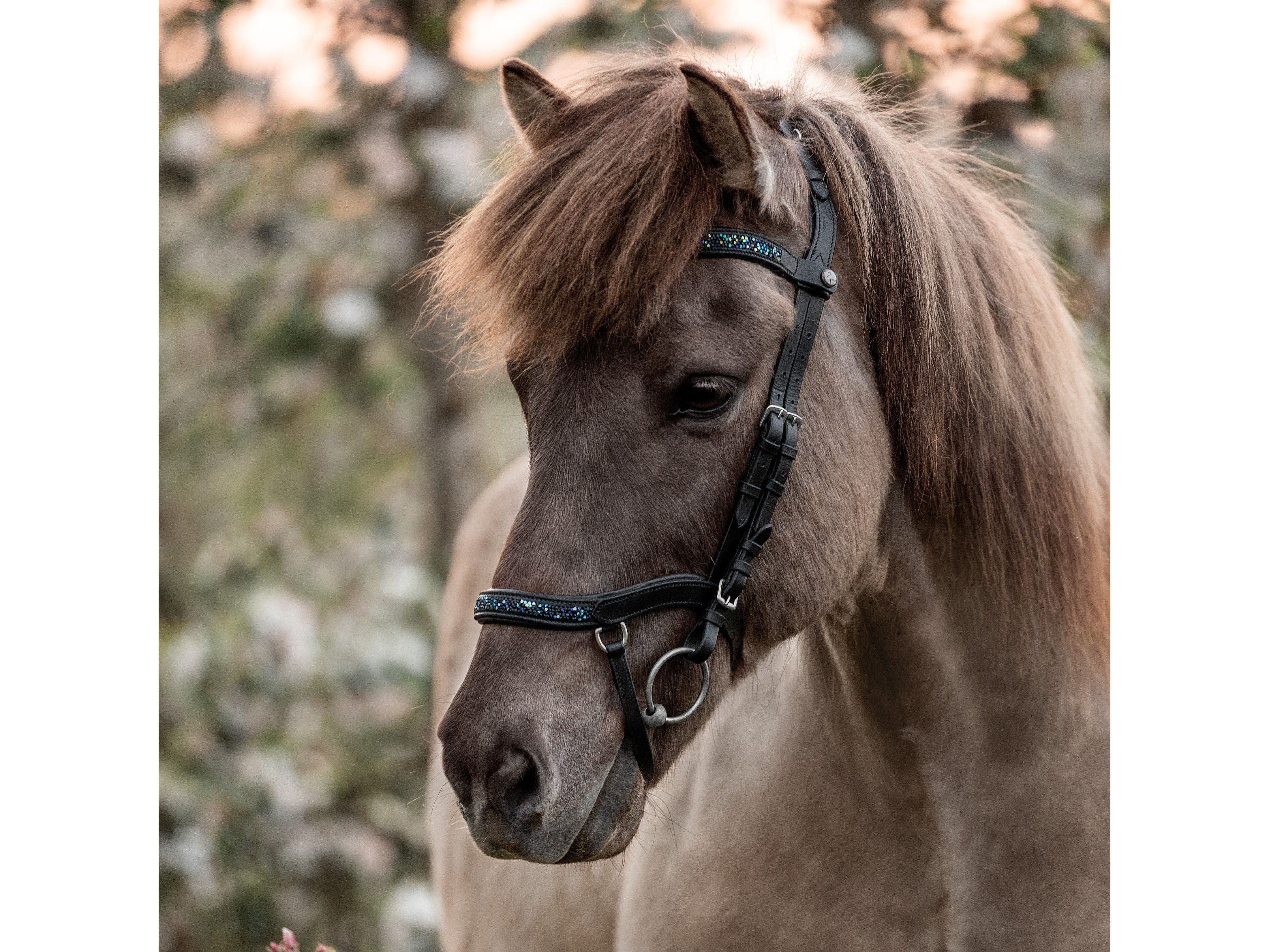 Bride anatomique Epona Aurora océan foncé