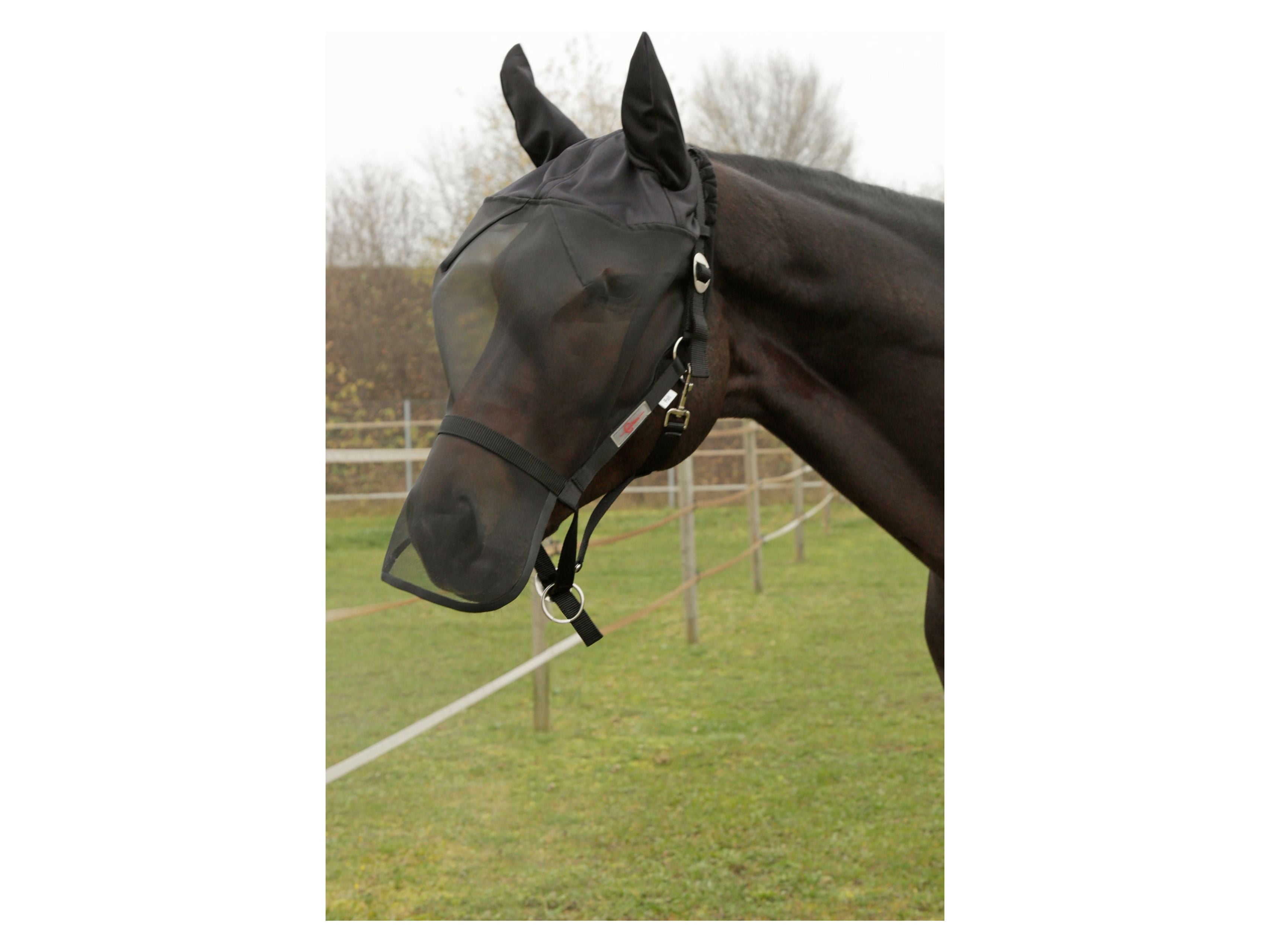Icelandic Horse fly mask - mask for horses with halter
