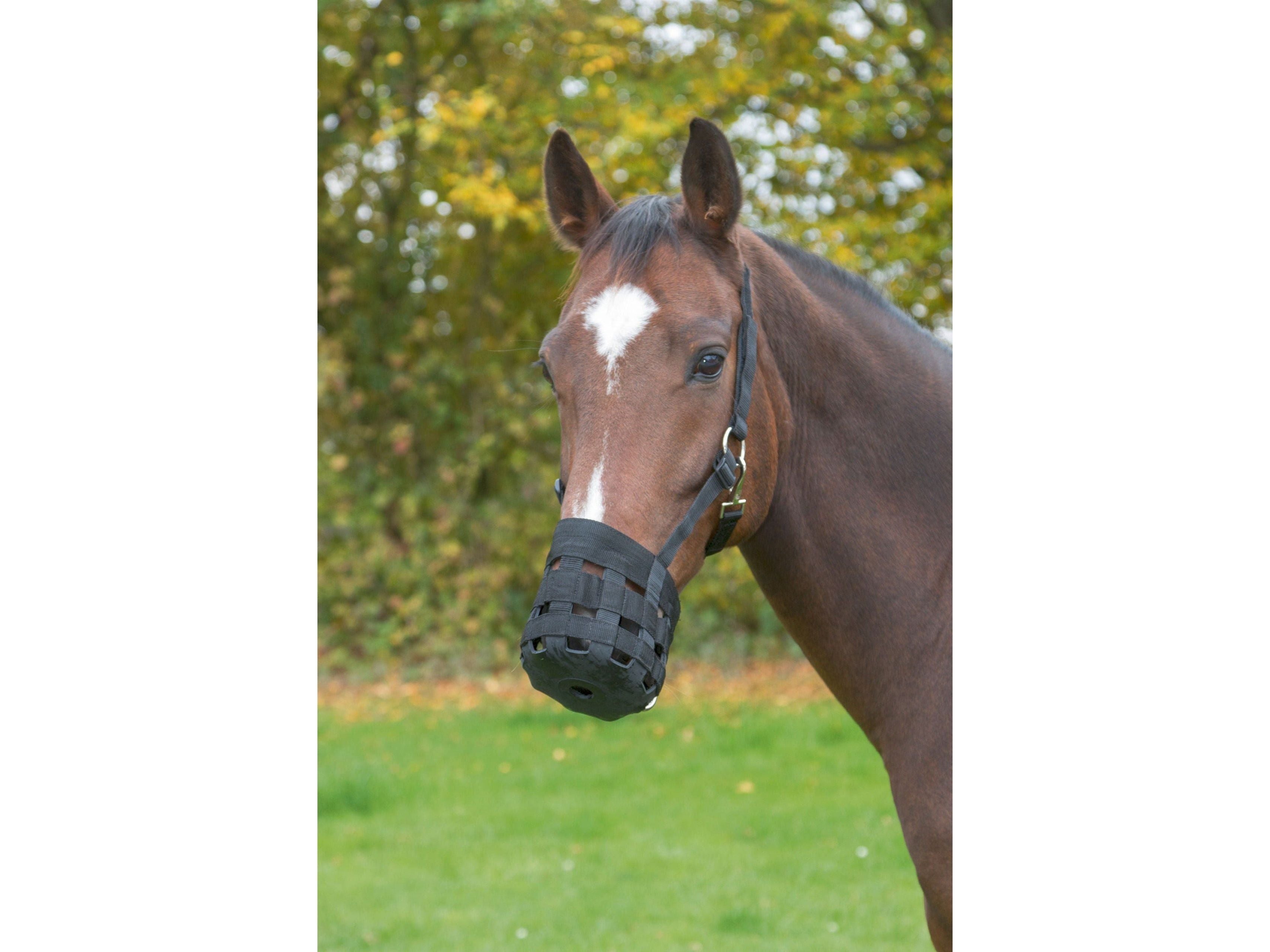 Icelandic Horse Fressbremse Nylon