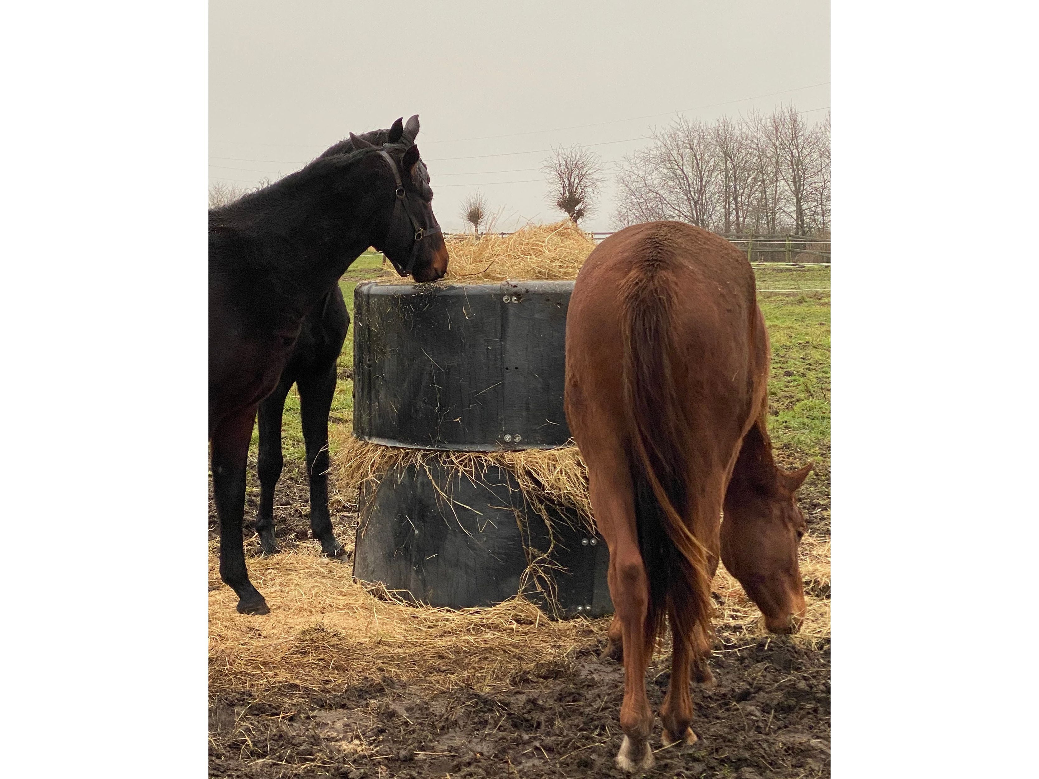 Icelandic Horse Heuspender Iglu für ganze Heuballen